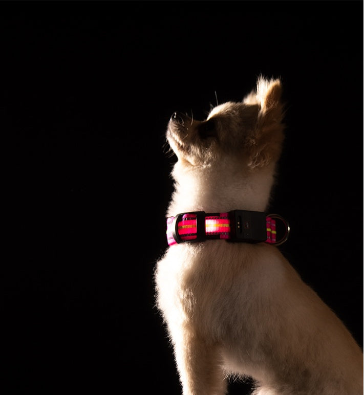 FUR-Safety's LIGHTNING™ Dog LED Collar