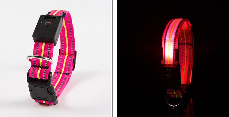FUR-Safety's LIGHTNING™ Dog LED Collar