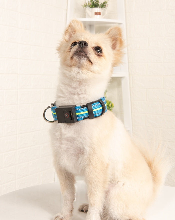 FUR-Safety's LIGHTNING™ Dog LED Collar