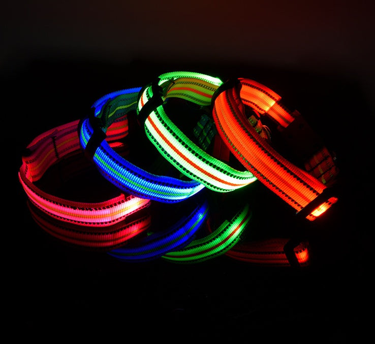 FUR-Safety's LIGHTNING™ Dog LED Collar