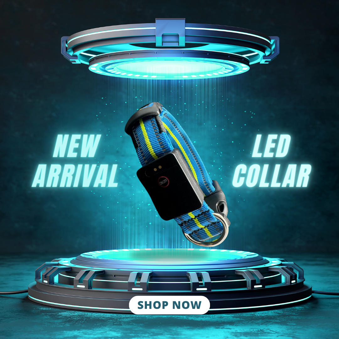 FUR-Safety's LIGHTNING™ Dog LED Collar