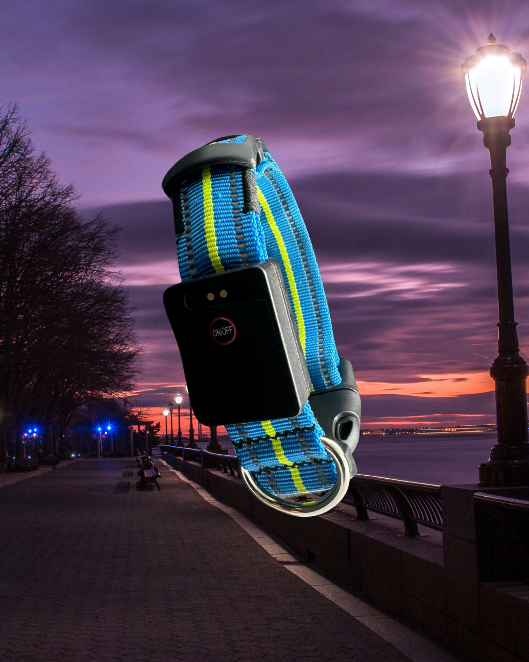 FUR-Safety's LIGHTNING™ Dog LED Collar