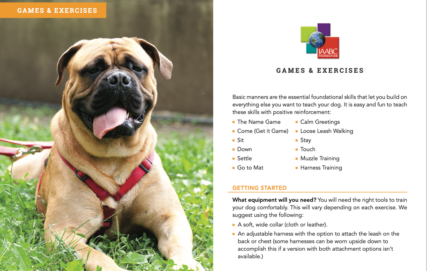 Dog Training Manual