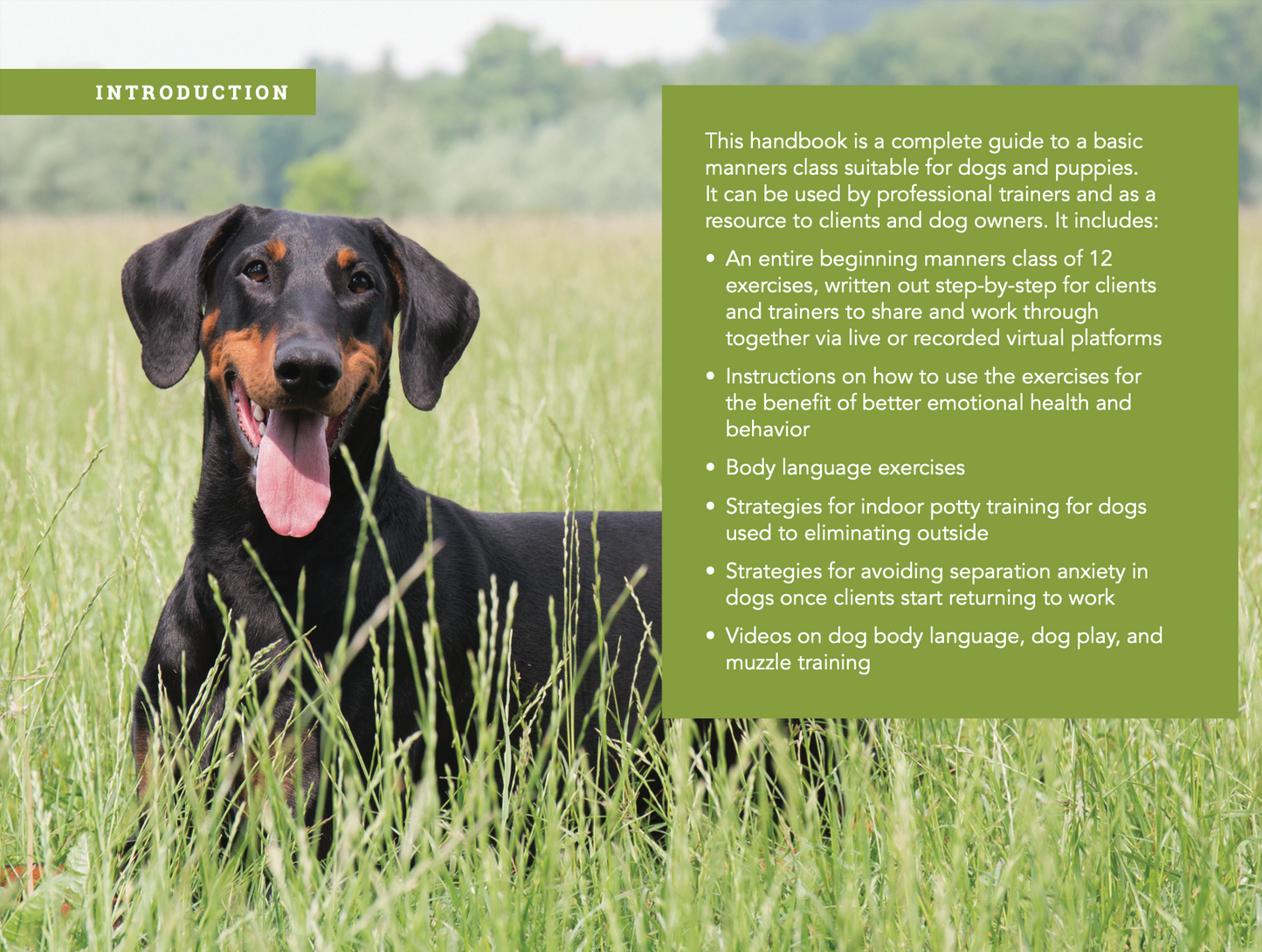 Dog Training Manual