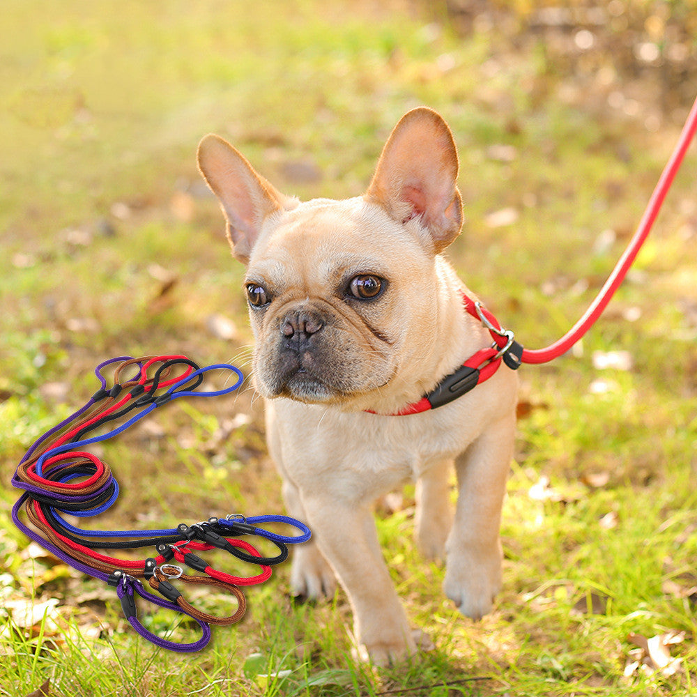 BITE™ Dog Training Slip Leash