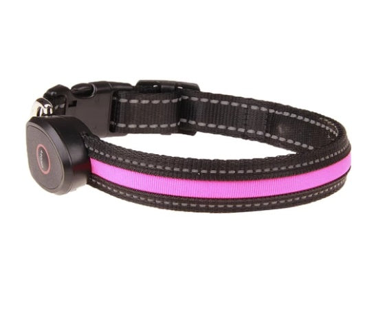 FUR-Safety's ILLUMINUX™ Dog LED Collar