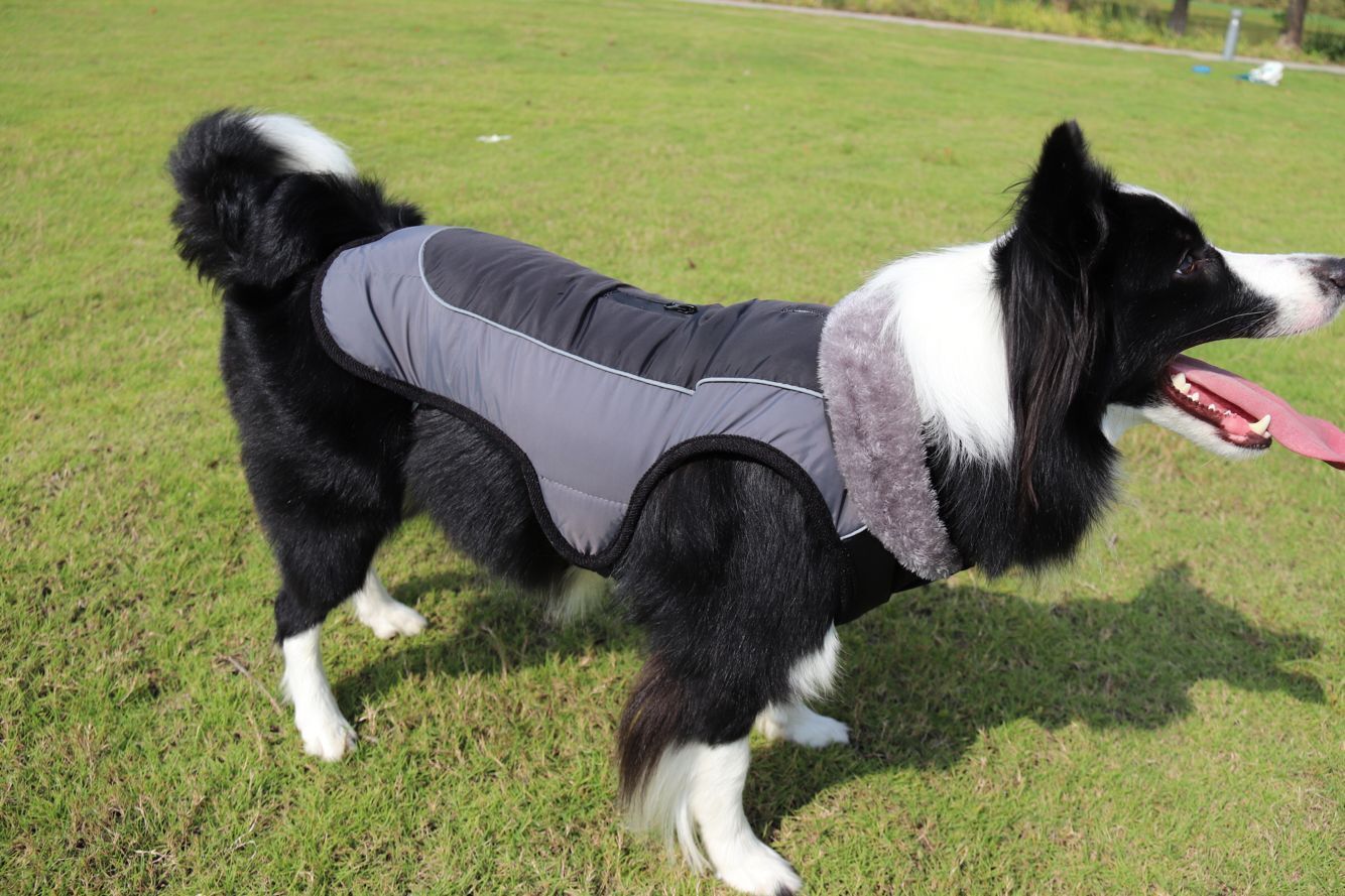 THERMO™ Reflective Dog Coat