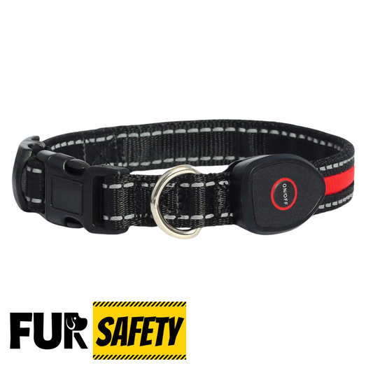 FUR-Safety's ILLUMINUX™ Dog LED Collar