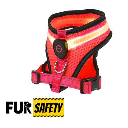 Dog LED ILLUMI-VEST™ Harness