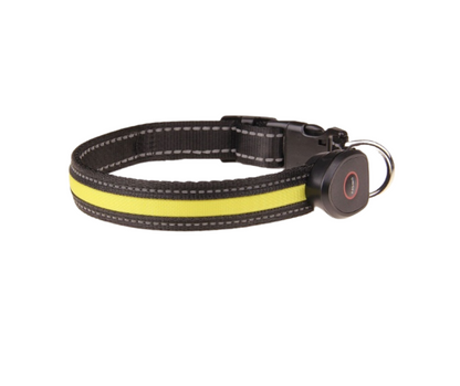 FUR-Safety's ILLUMINUX™ Dog LED Collar