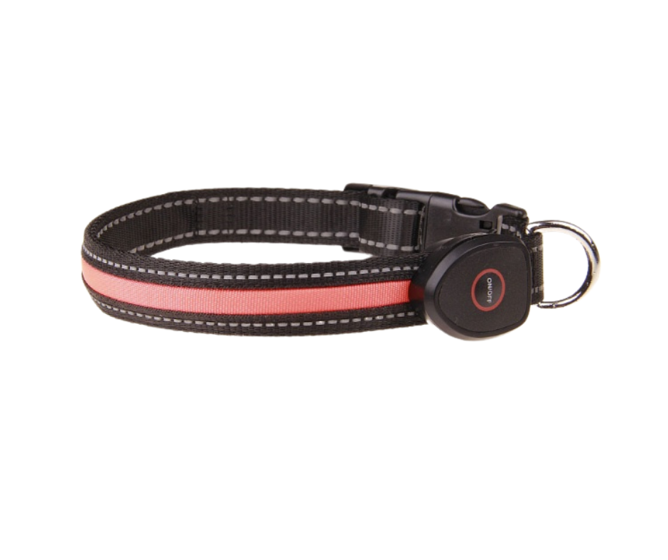 FUR-Safety's ILLUMINUX™ Dog LED Collar