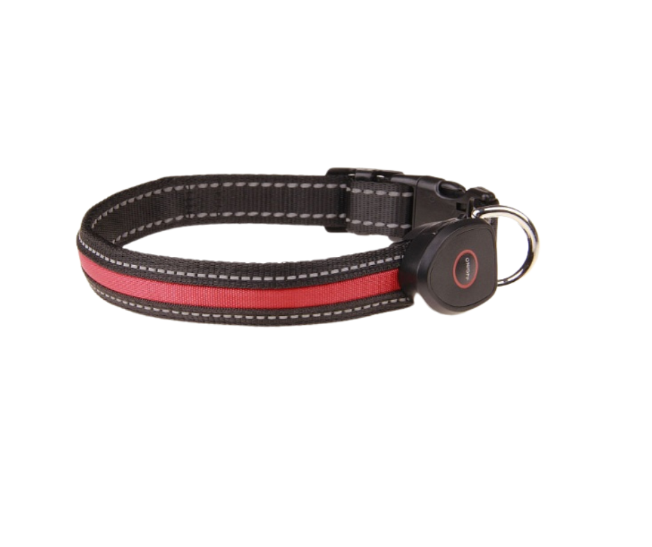 FUR-Safety's ILLUMINUX™ Dog LED Collar