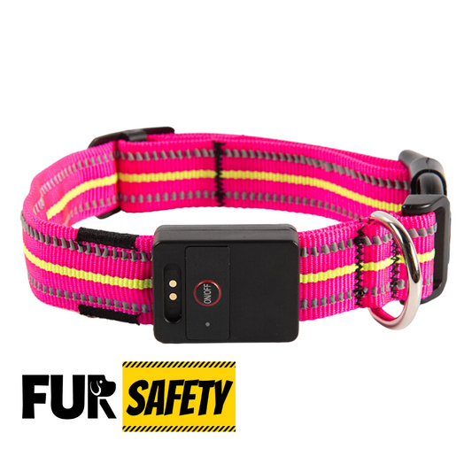 FUR-Safety's LIGHTNING™ Dog LED Collar