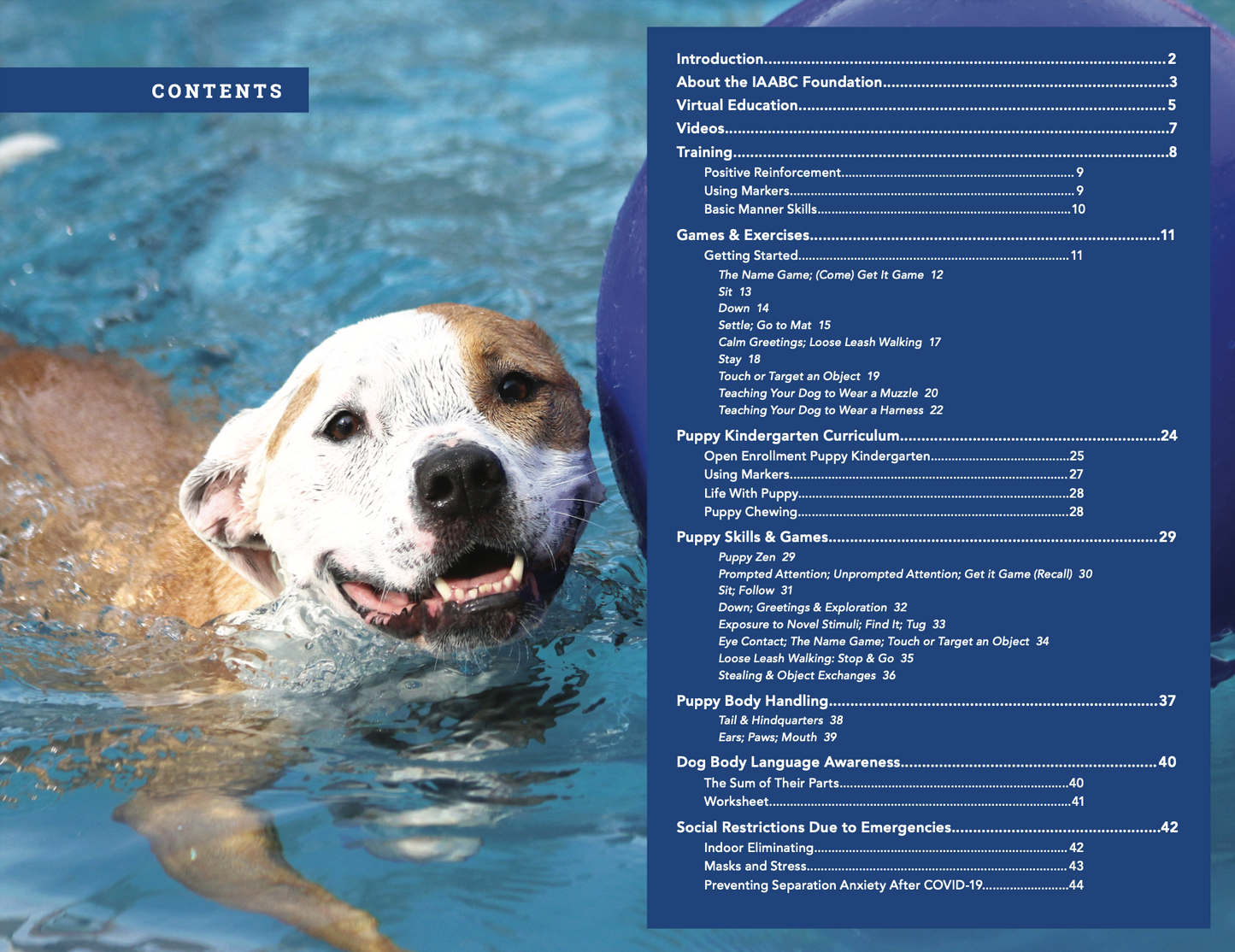 Dog Training Manual