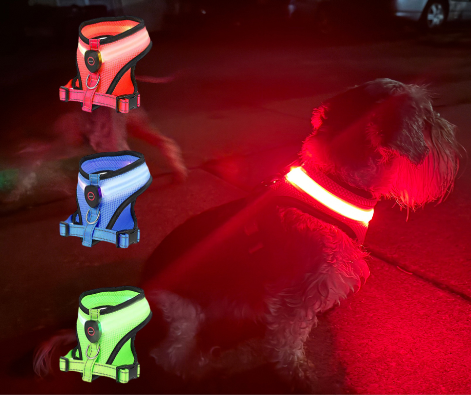 Dog LED ILLUMI-VEST™ Harness